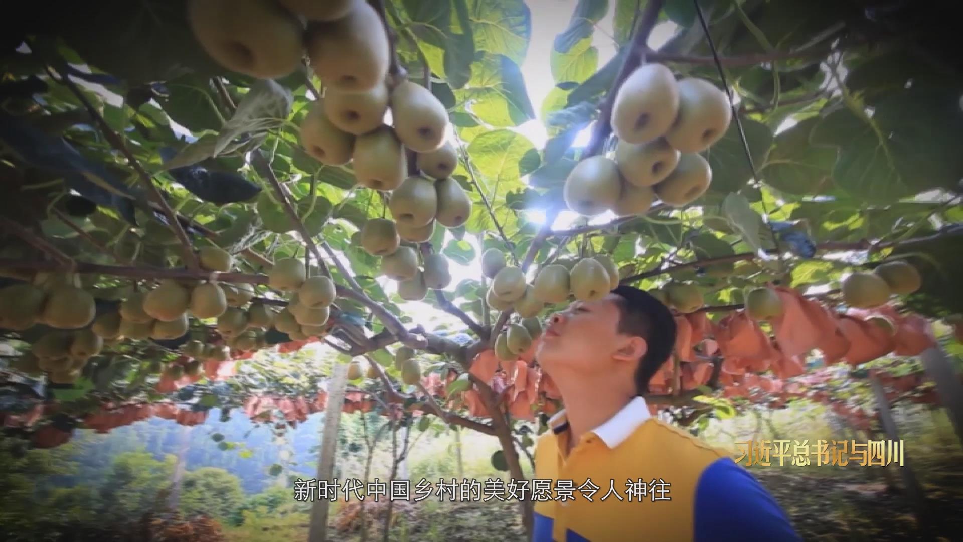 走在巴山蜀水间②兴川之要 第 4 张