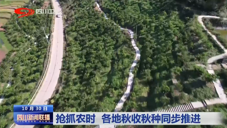 抢抓农时 各地秋收秋种同步推进 第 1 张