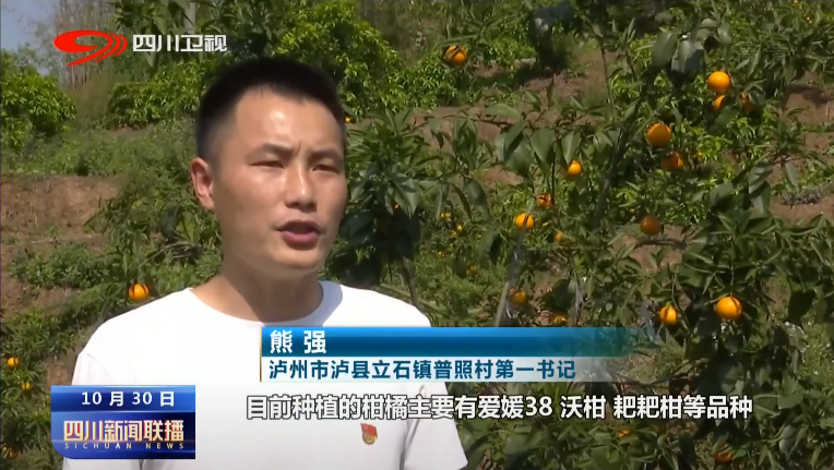 抢抓农时 各地秋收秋种同步推进 第 2 张
