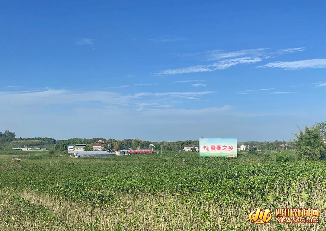 【我在乡村看见中国?】广安：乡村振兴画卷新 小平故里别样“红” 第 4 张