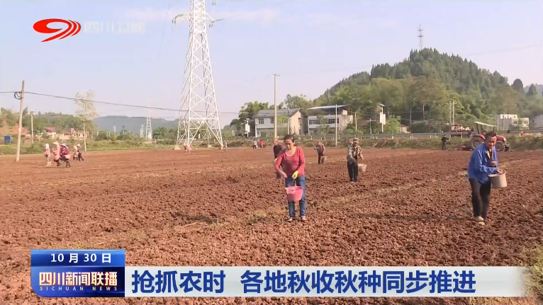 抢抓农时 各地秋收秋种同步推进 第 7 张