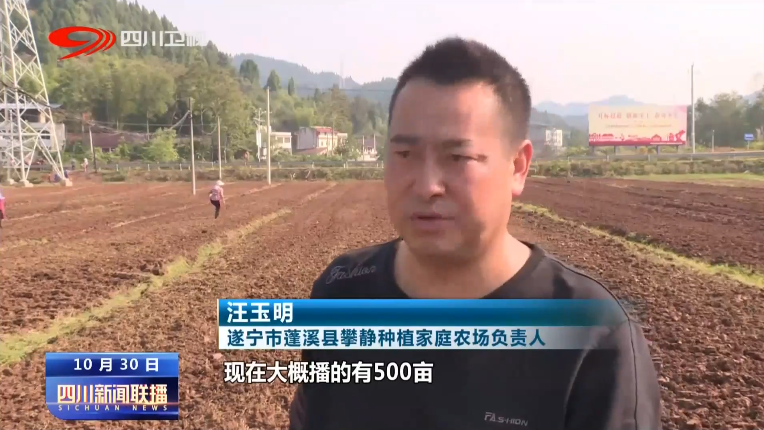 抢抓农时 各地秋收秋种同步推进 第 8 张