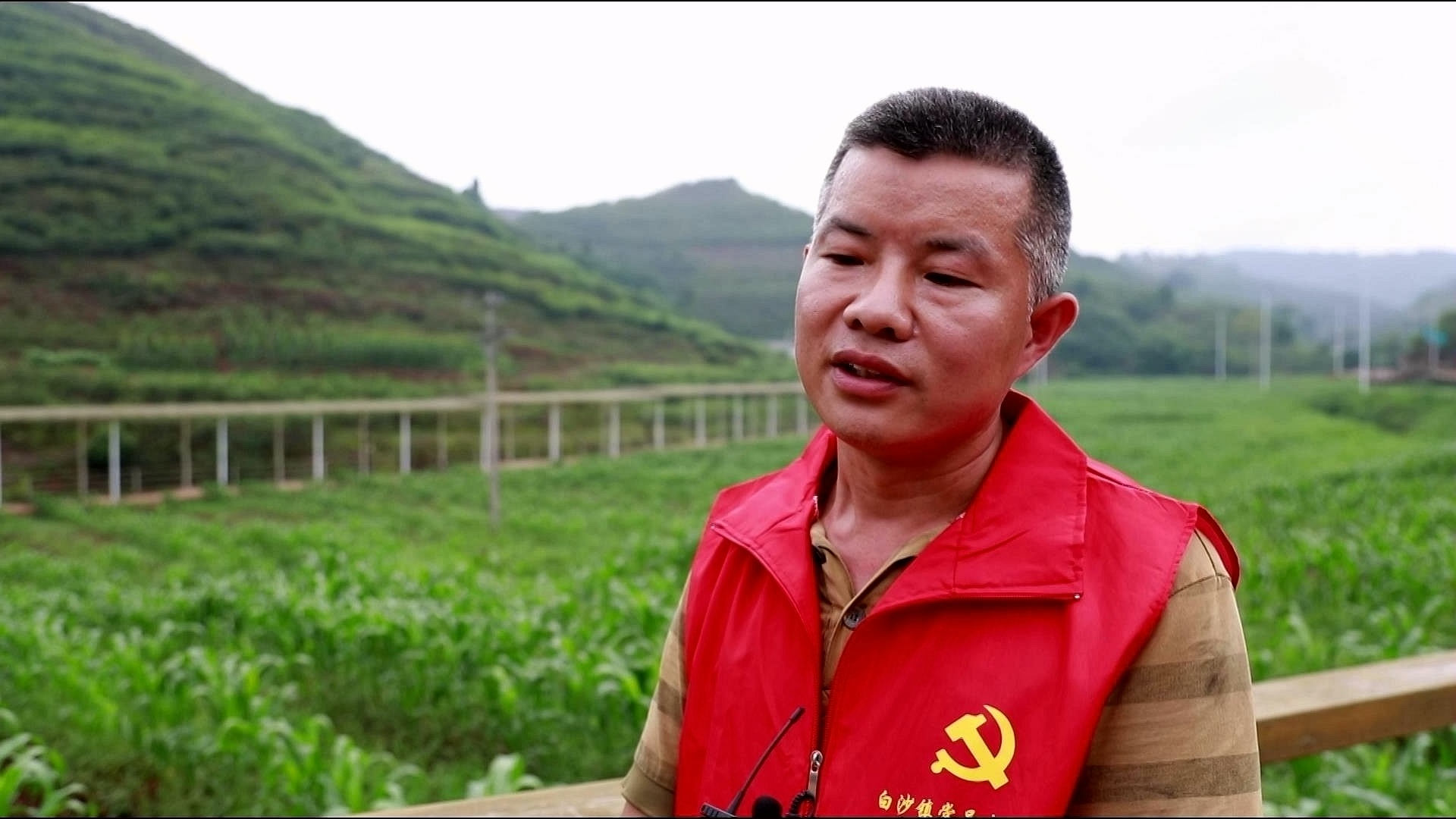 合江县白沙镇：万亩花椒迎丰收，村民“麻”上致富 第 11 张
