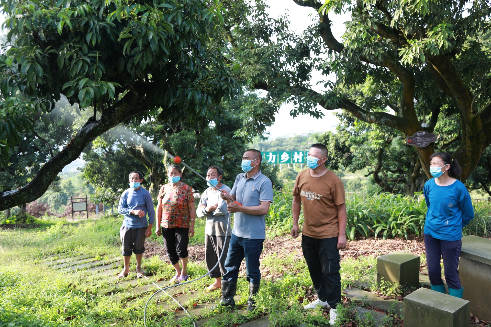 合江县：将“以人民为中心”思想贯穿发展过程，不断提升群众生活质量 第 2 张