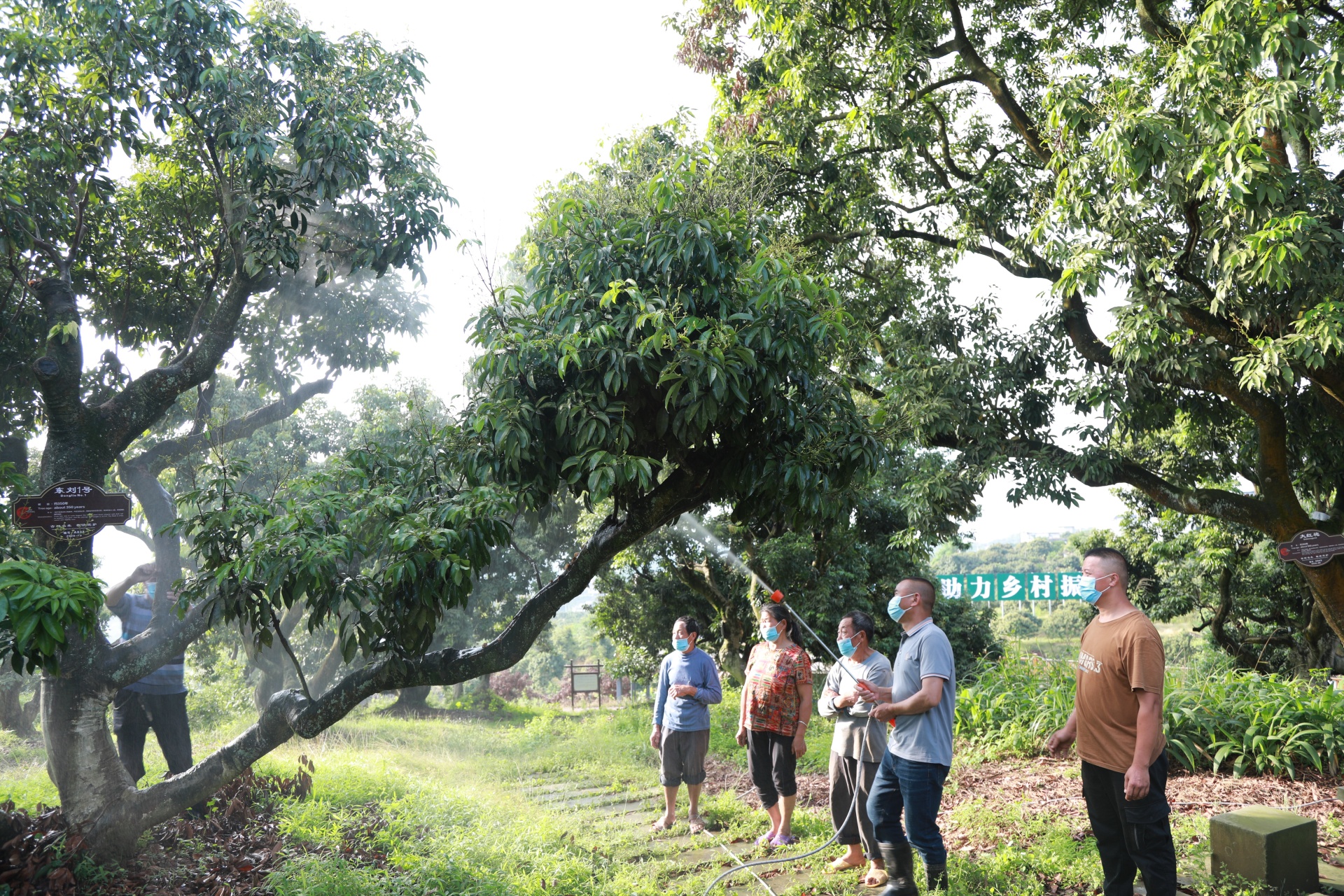 合江县：将“以人民为中心”思想贯穿发展过程，不断提升群众生活质量 第 3 张