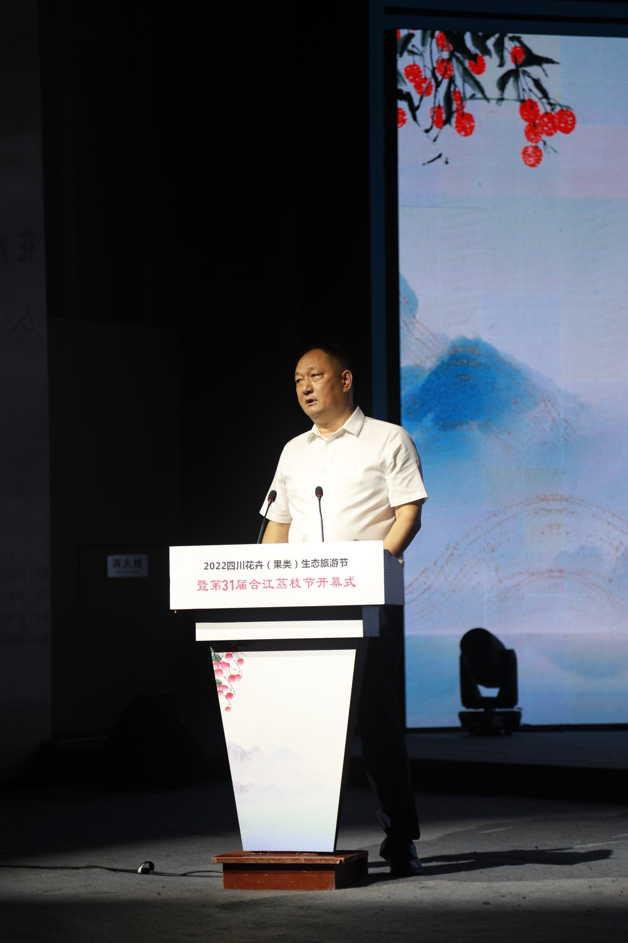 让世界爱上合江荔枝，2022四川花卉（果类）生态旅游节暨第31届合江荔枝文化旅游节开幕 第 4 张
