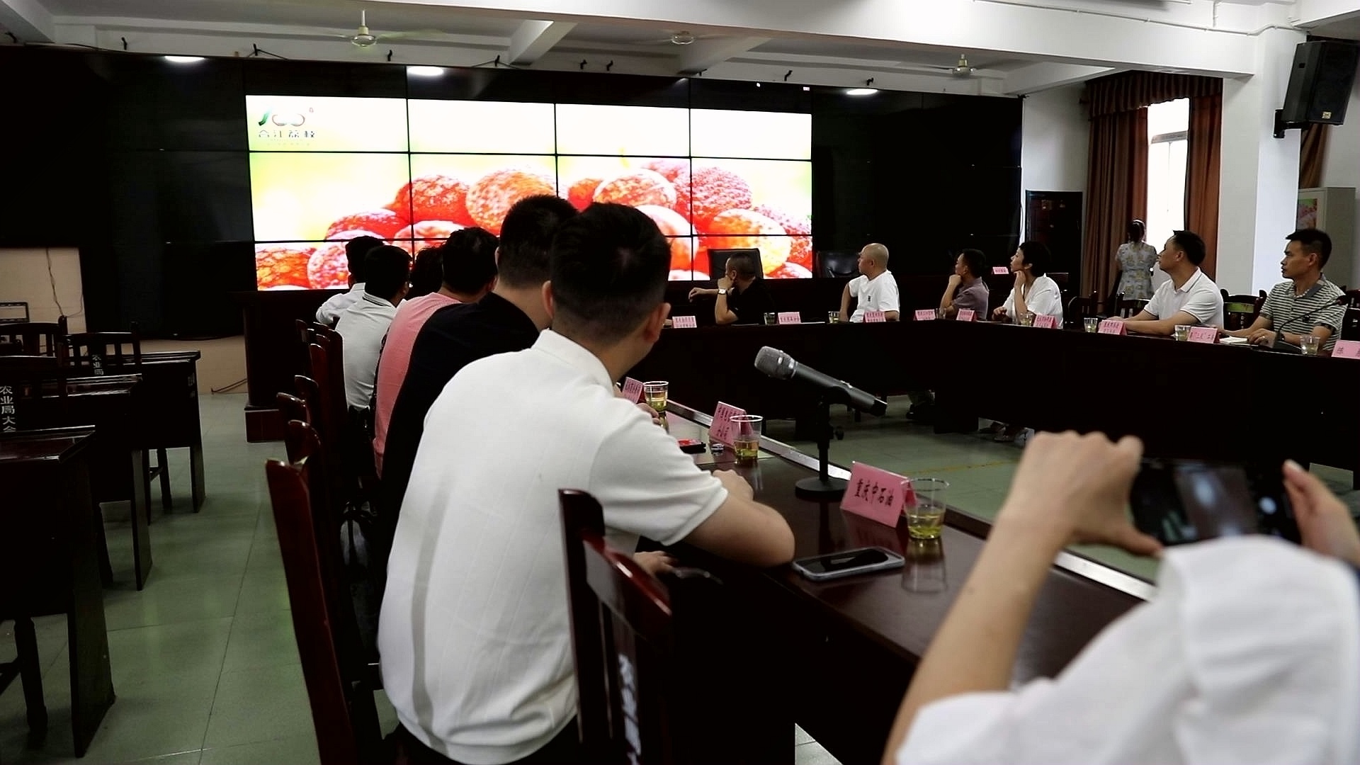 合江县农业农村局举行重庆客商荔枝推荐会 第 1 张