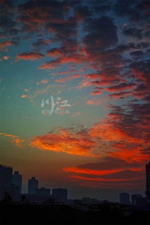 注意森林防火！未来2-3天，泸州最高温将达43℃ 第 1 张