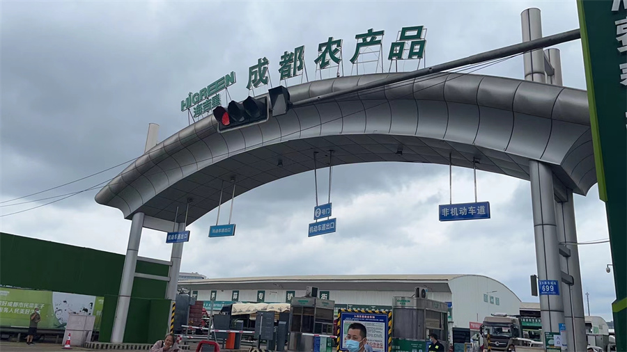 一棵小白菜的6小时 第 6 张