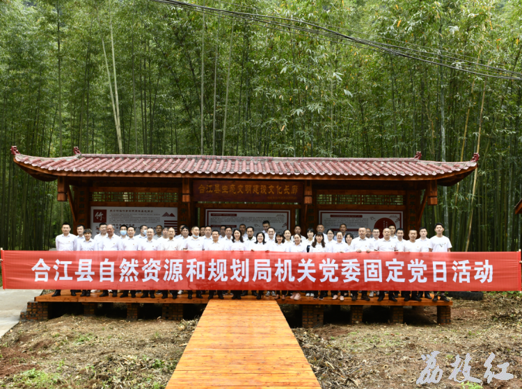 合江县自然资源和规划局开展“党建+产业发展”生态文明建设主题党日活动 第 1 张