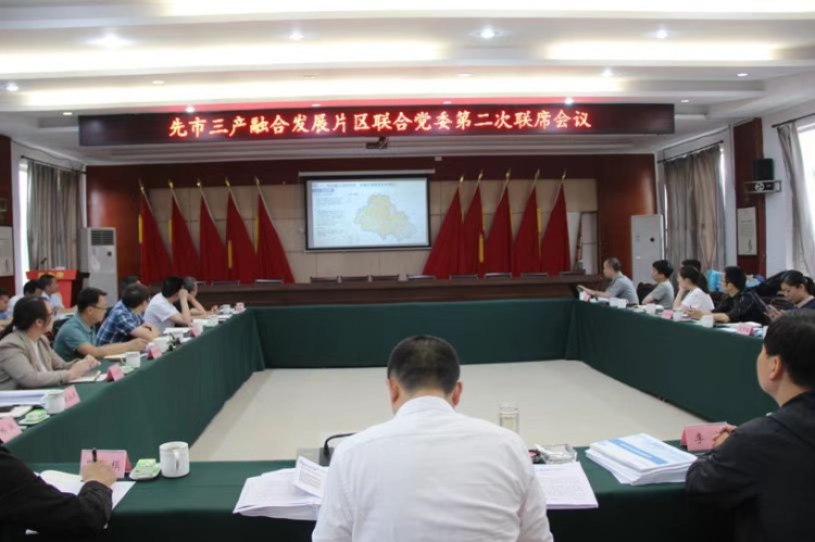 合江县先市镇三产融合发展片区联合党委召开第二次联席会议 第 1 张