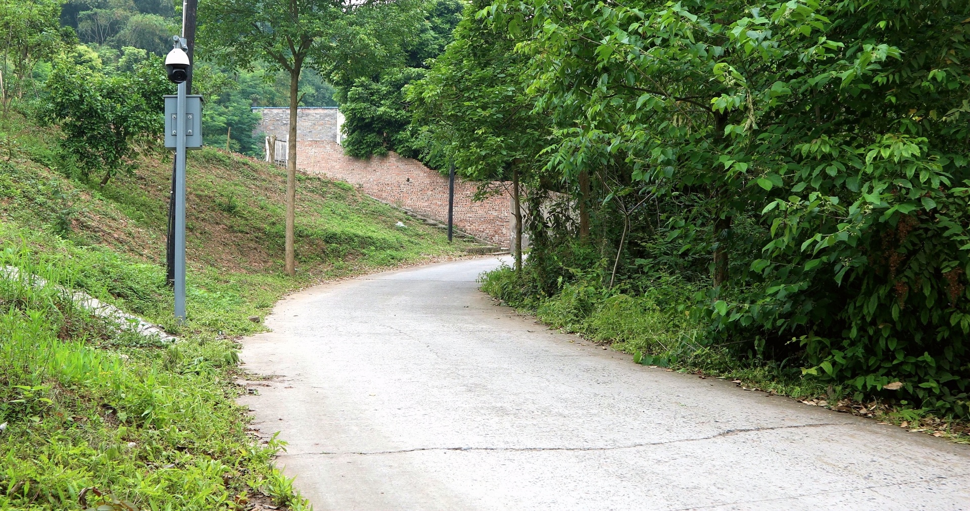 【行走川渝】（一）一条穿村路 川渝一家亲 第 7 张