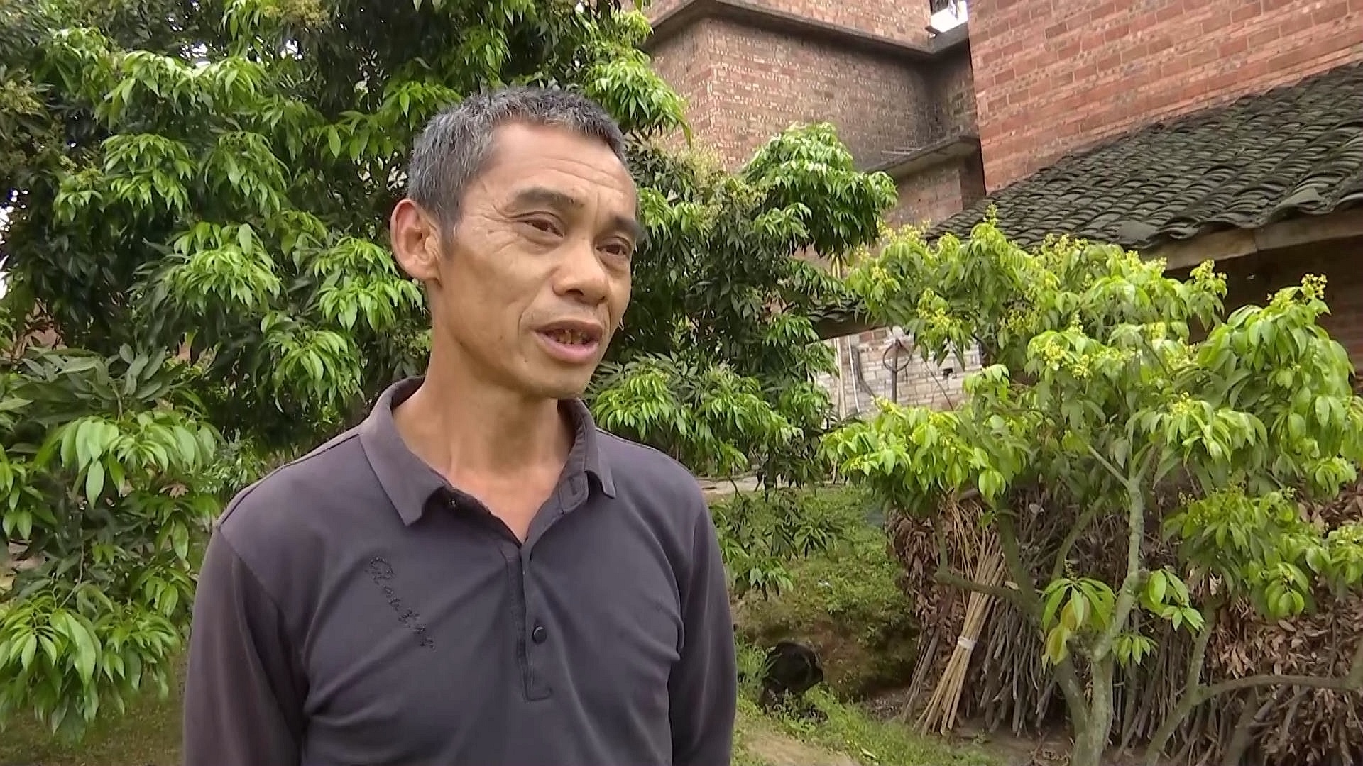 合江县荔江镇花桂村：探索荔枝管护新模式 第 8 张