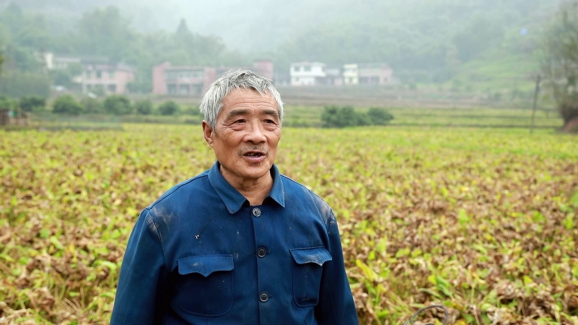 【新春走基层】合江：稻药轮作效益好 百亩泽泻丰收忙 第 4 张