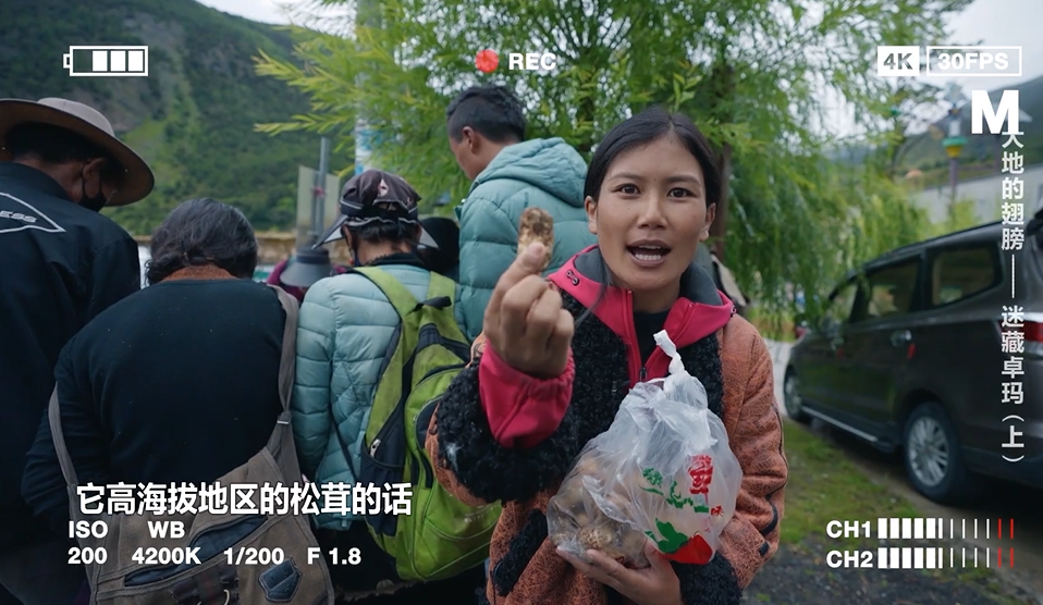 全省首个“四川三农网红”纪实系列片《大地的翅膀》 第 6 张