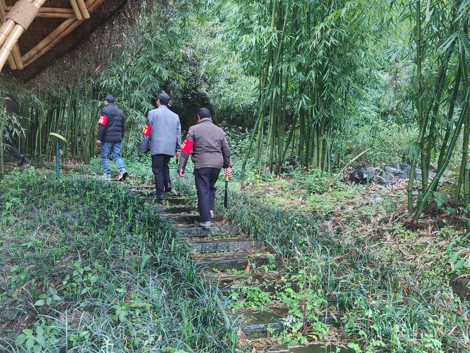 合江：抓牢森林防火，留住绿水青山 第 12 张