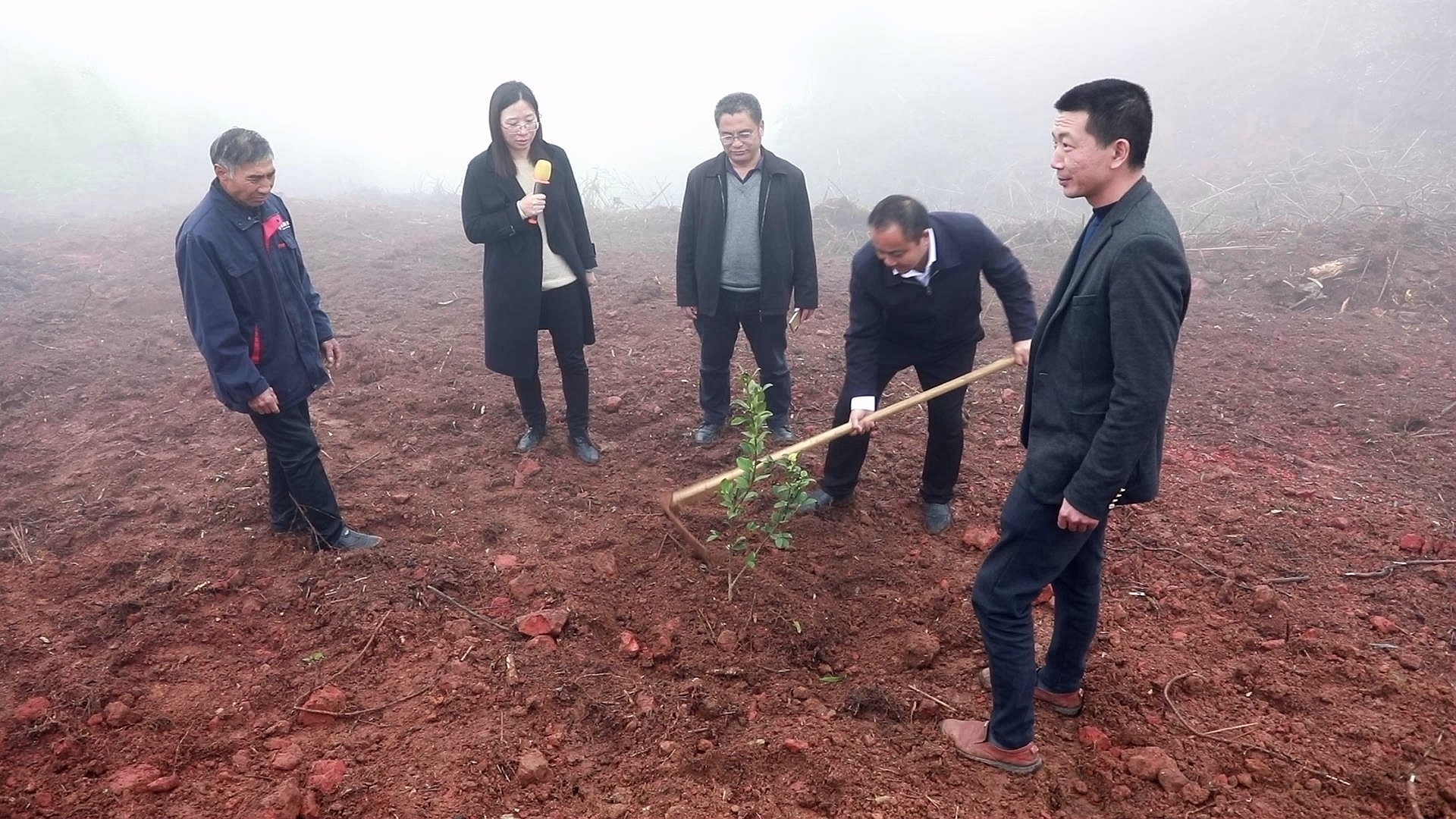 合江：春耕备耕忙，油茶培训正当时 第 3 张
