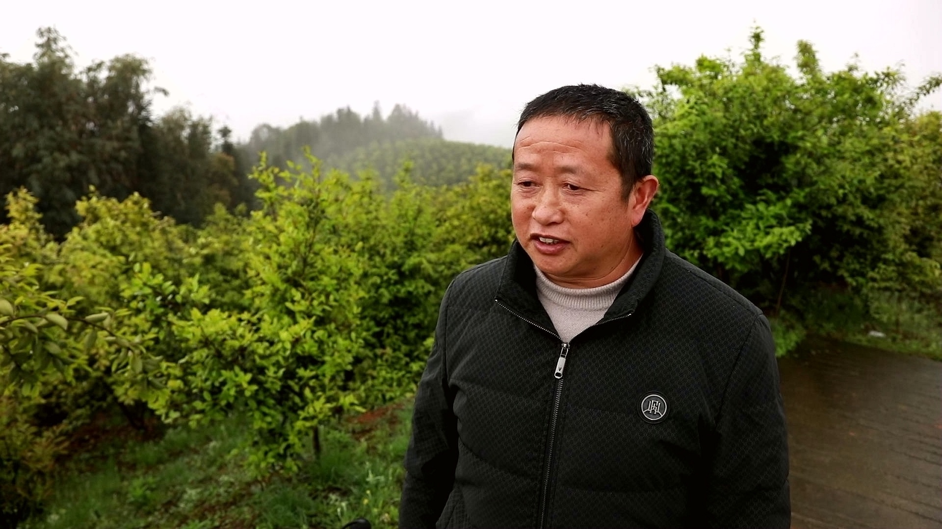 合江：春耕备耕忙，油茶培训正当时 第 6 张