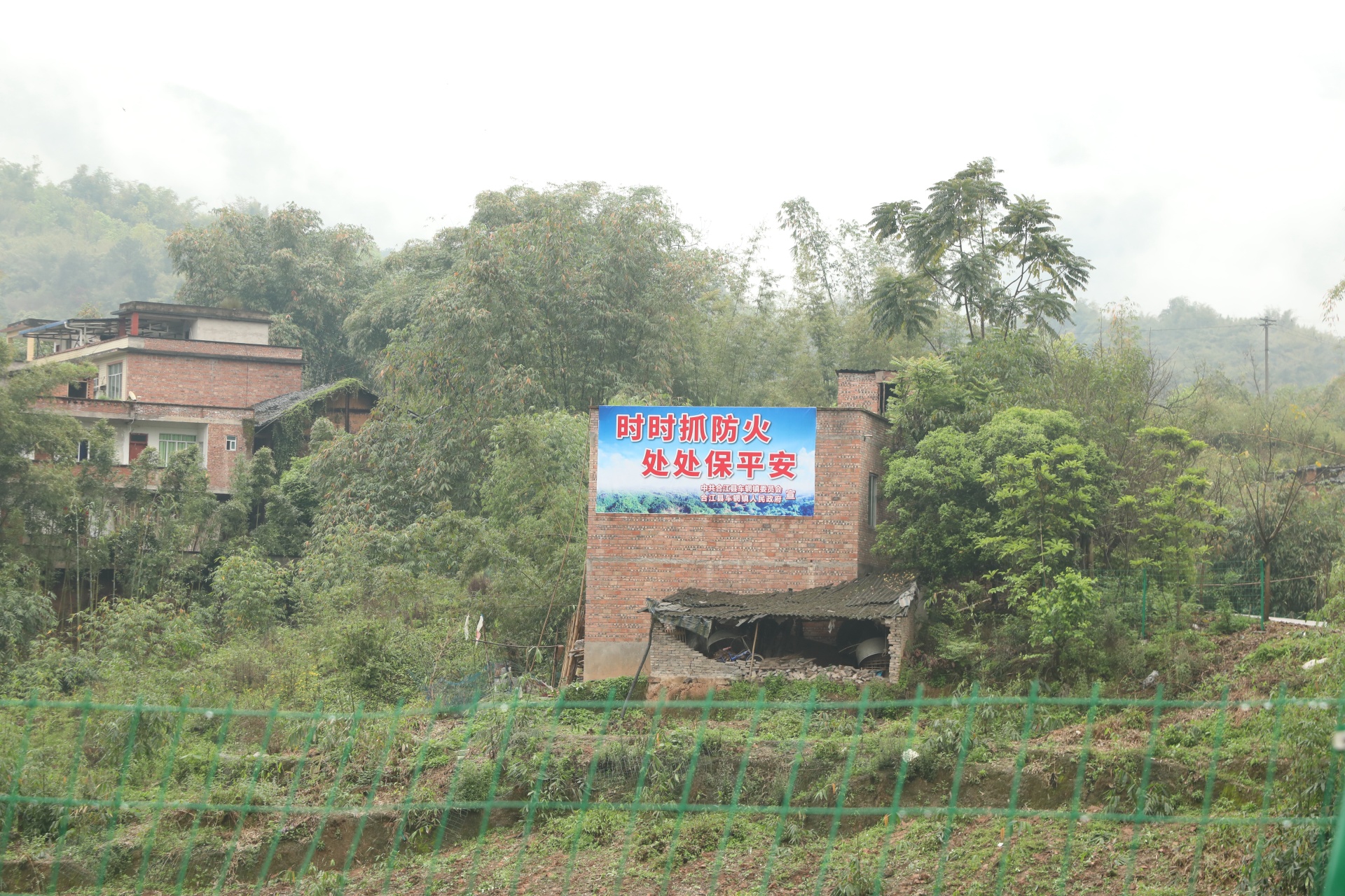 合江：抓牢森林防火，留住绿水青山 第 7 张