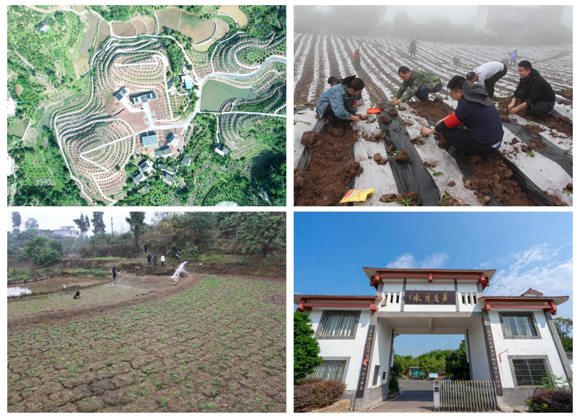 2023 我们这样干 | 荔江镇：抢抓成渝地区双城经济圈建设机遇，积极融入“东翼”—合江县“1+5”发展体系 第 3 张