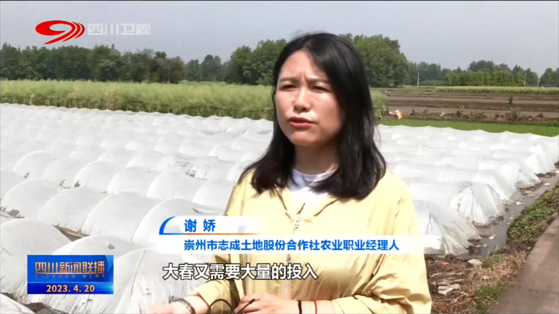 四川新闻联播丨靶向精准解难 “金融春雨”滴灌“天府粮仓” 第 2 张