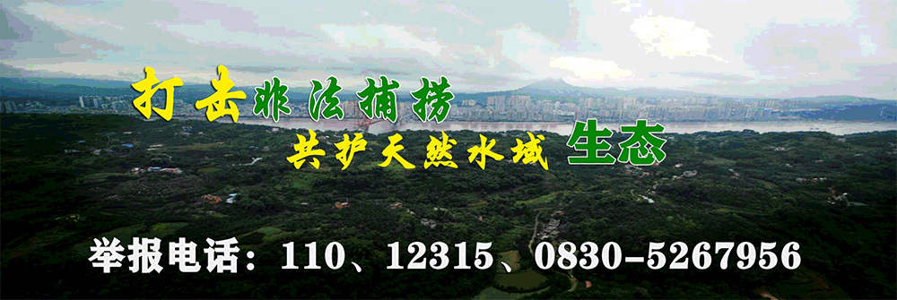 查处违法案件 187件，合江县“春雷行动2023”执法行动圆满结束 第 3 张