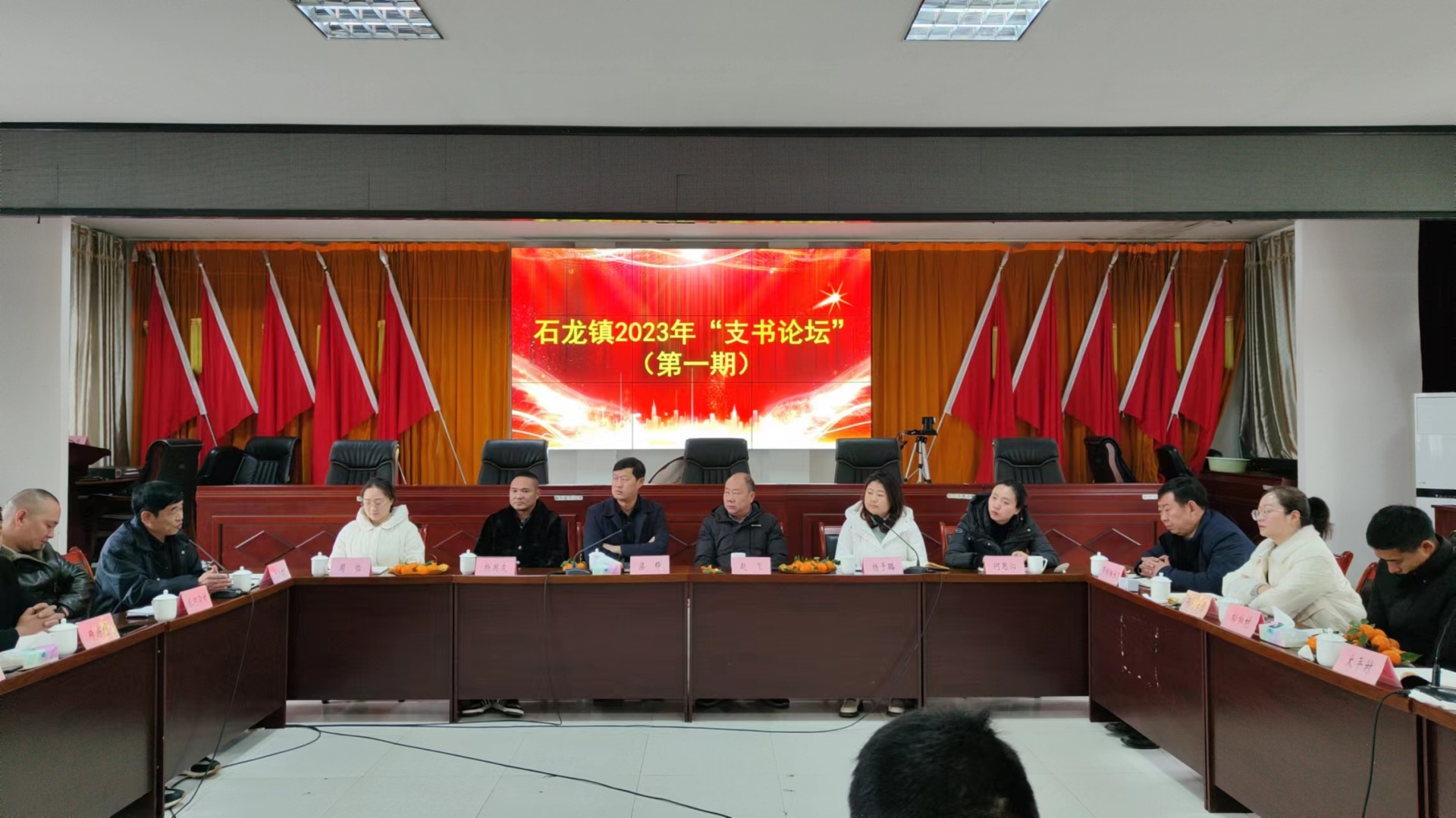 2023 我们这样干 | 石龙镇：抓好“六拼六强”，高质量建设“康养新基地，美丽新石龙” 第 13 张