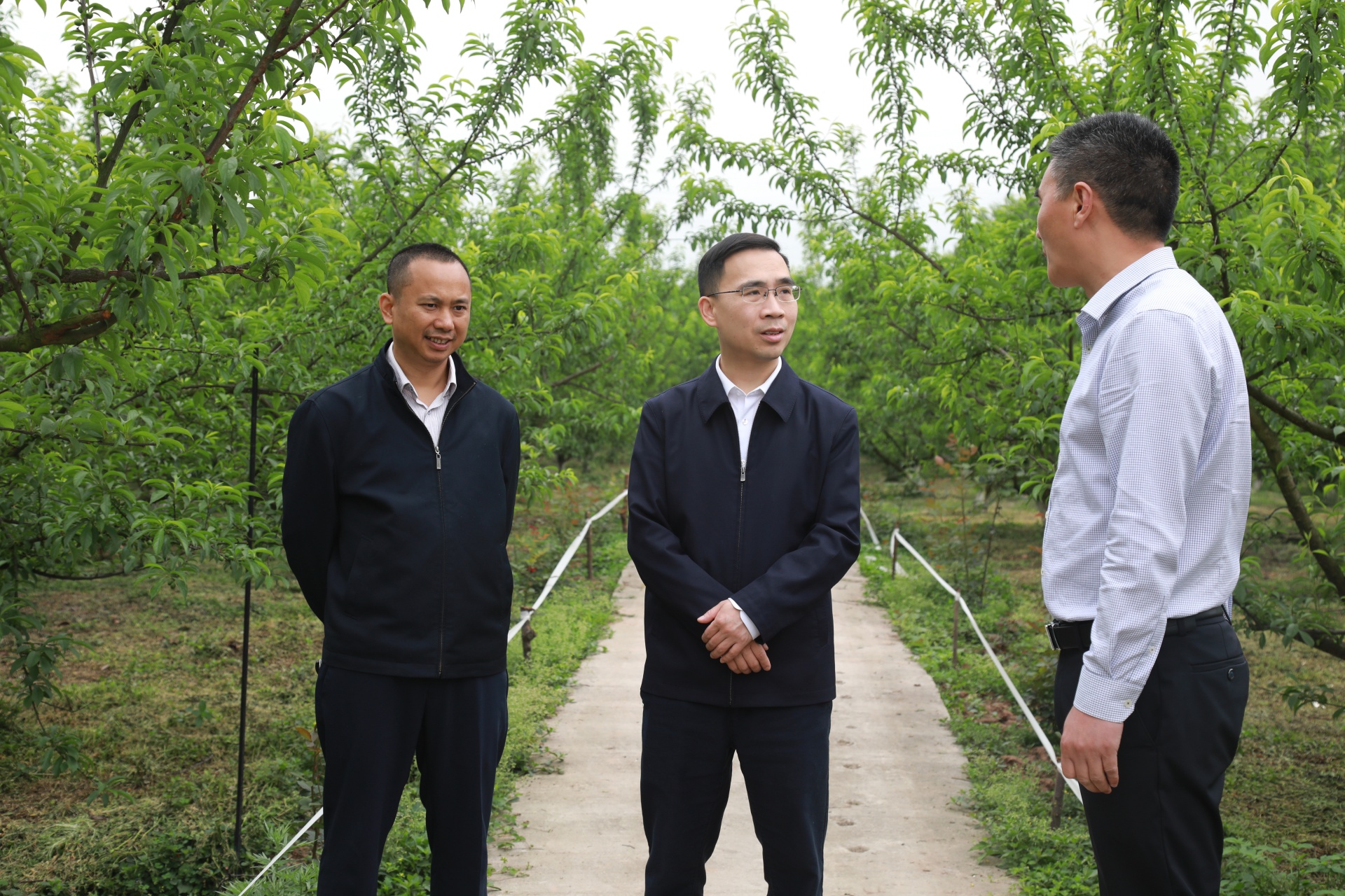 县领导调研重点项目建设 第 2 张