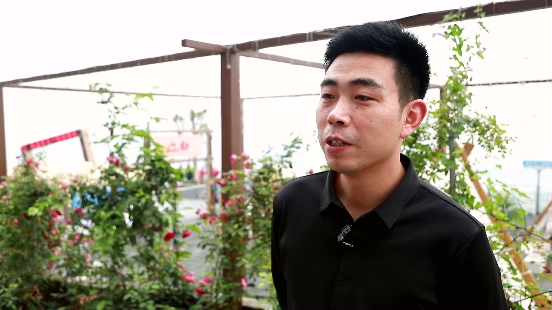 合江：玫瑰盛宴引客来 一口浪漫一口甜 第 6 张