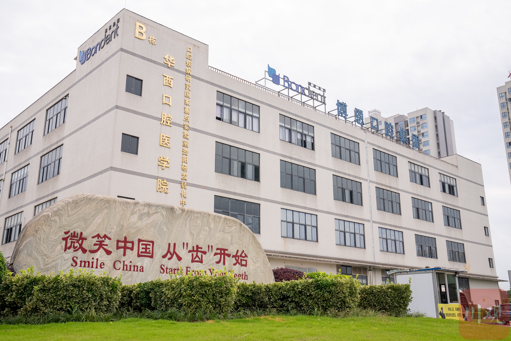 高质量发展调研行①丨“中国牙谷”成长记 第 3 张