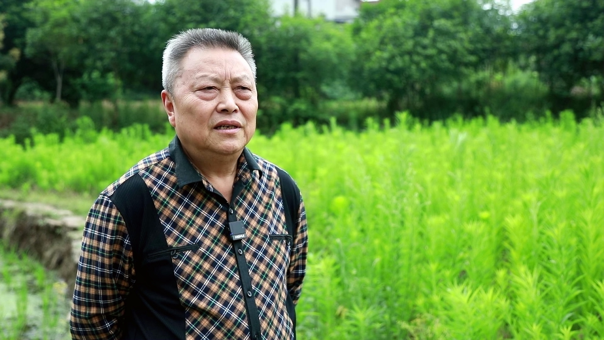 向廷富：一根盲杖为2000多名视障者点亮前行之光 第 2 张