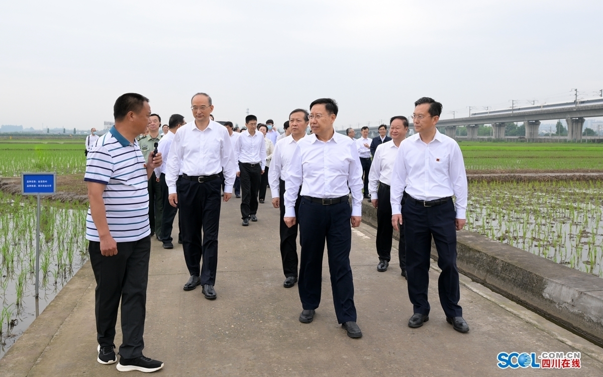 王晓晖率省级领导干部在眉山市开展主题教育实地学习时强调：坚持学思用贯通、知信行统一，一步一个脚印把领袖关怀和嘱托落到实处 第 1 张