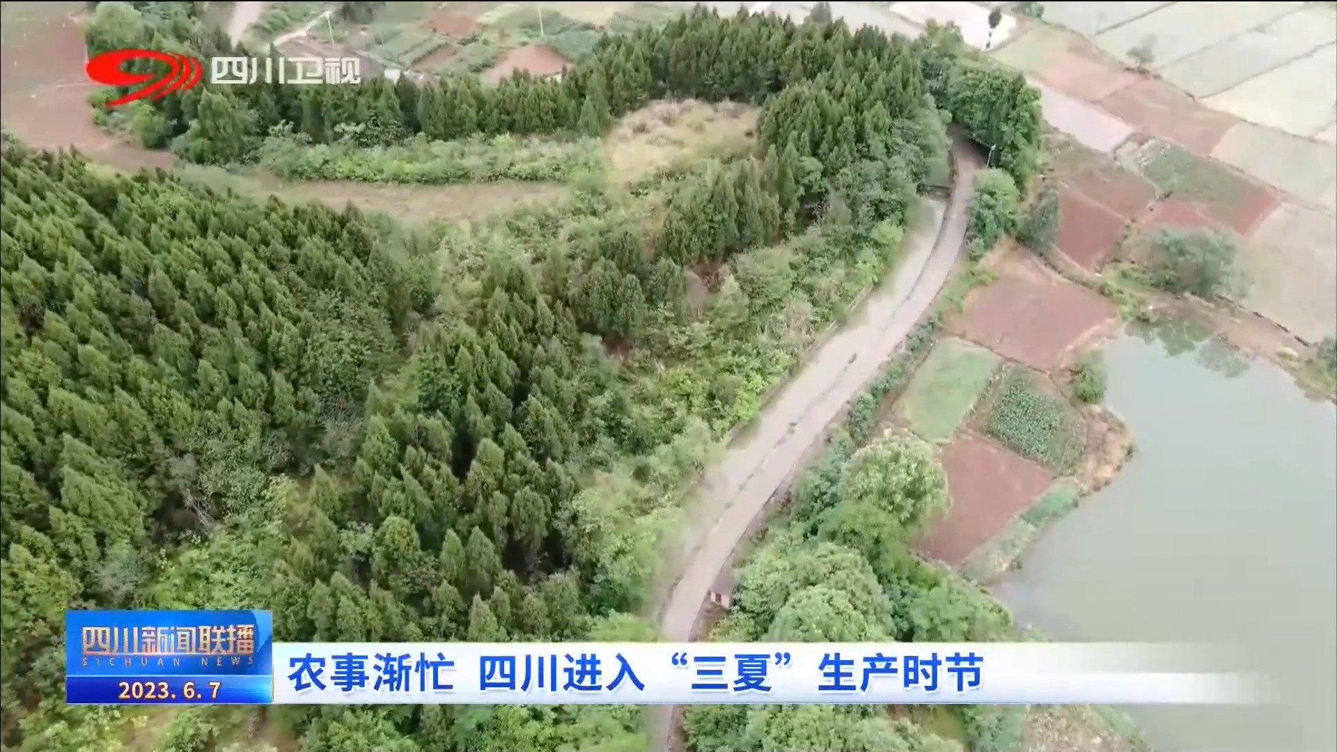 四川新闻联播 | 农事渐忙 四川进入“三夏”生产时节