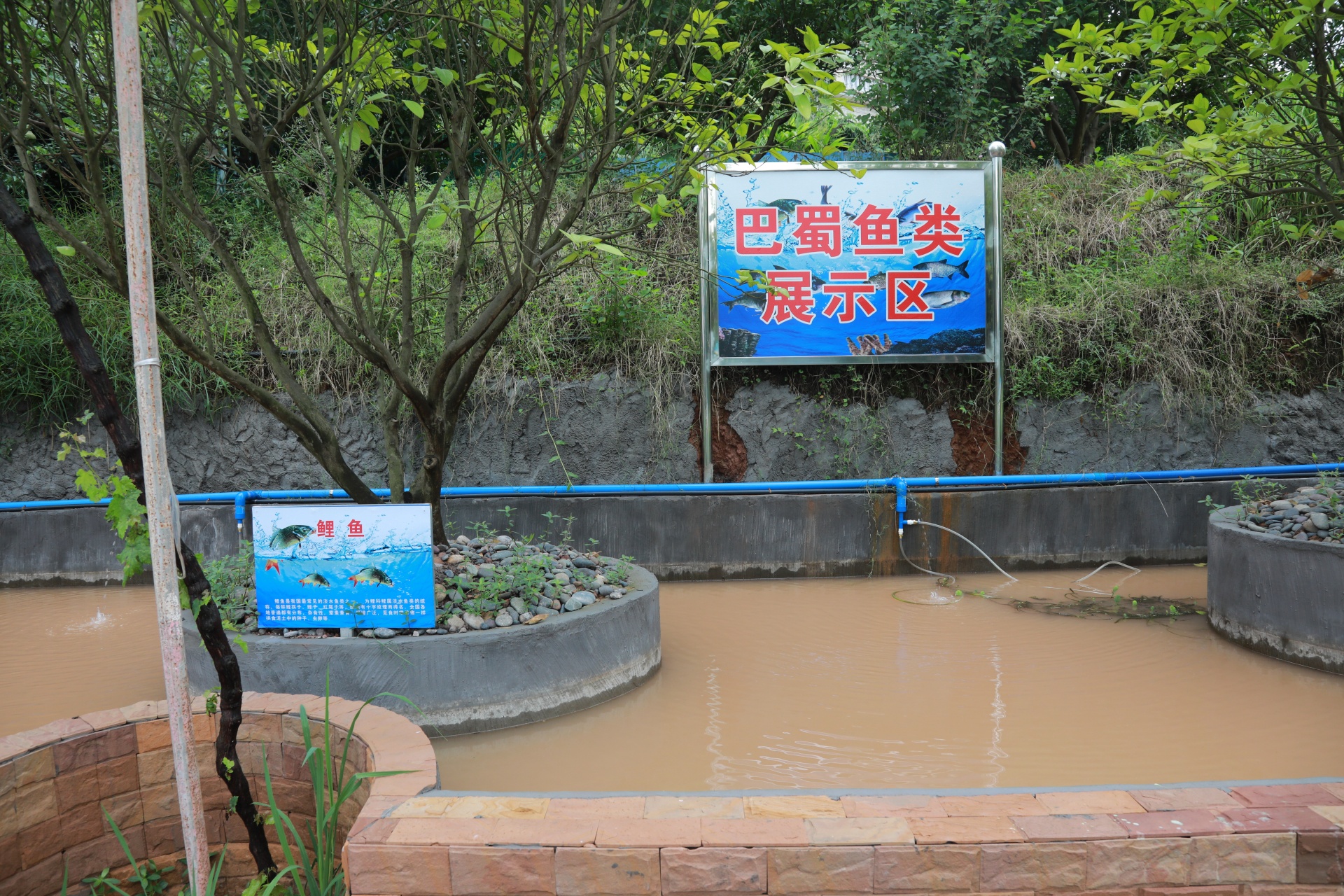 拼经济搞建设丨合江县稻乡村基地项目基本完工 9月投用 第 6 张